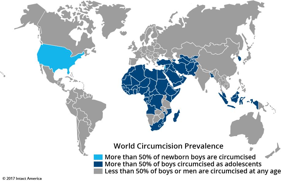 While around half of newborn boys are still being circumcised in the United...